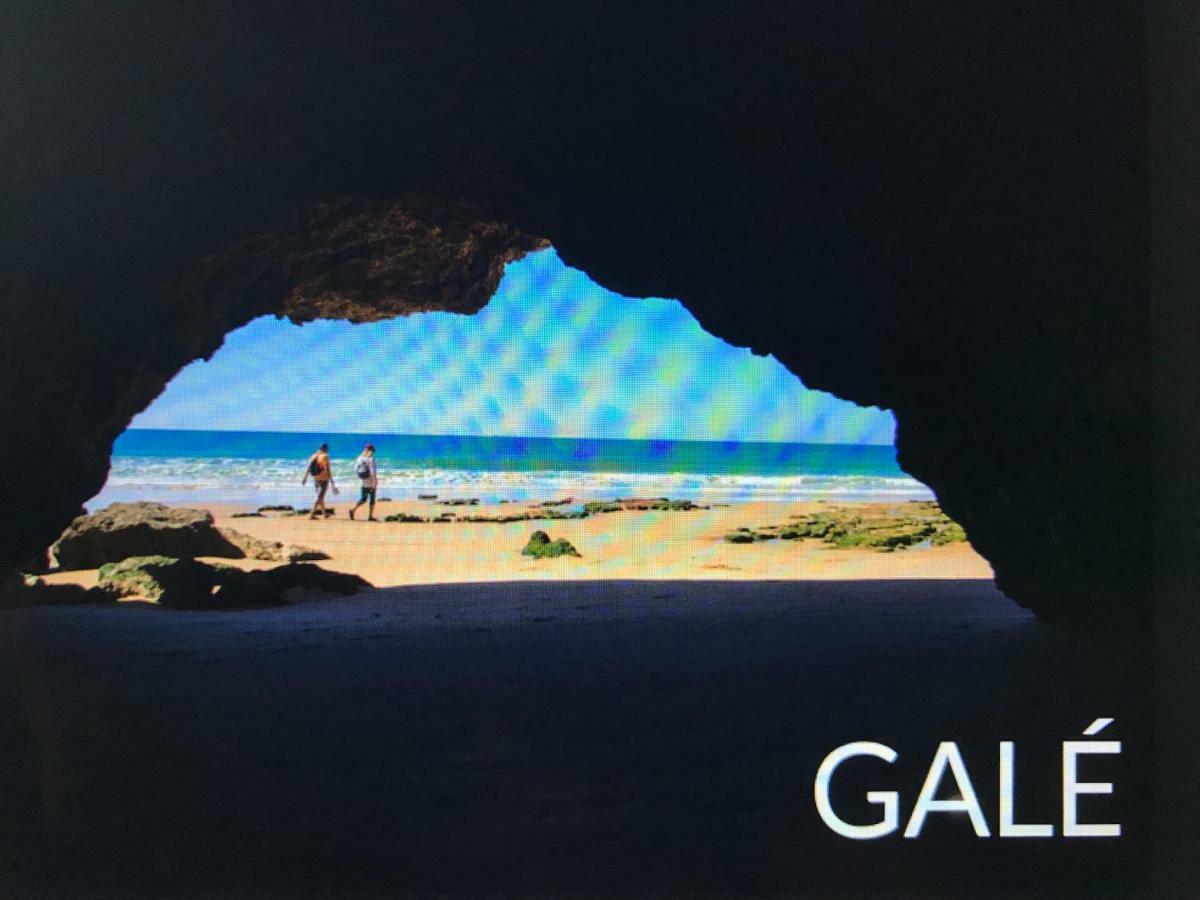 אלבופיירה Palmeira Gale מראה חיצוני תמונה